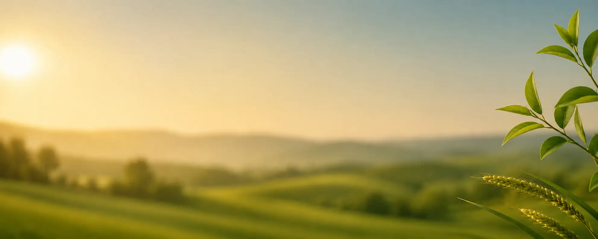 Banner agro roundup 2