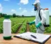 Diquat é Proibido no Brasil? Veja as Regras Para Uso do Herbicida