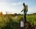 Qual Herbicida Mata o Mato sem Prejudicar a Terra? Veja as Opções