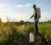 Qual Herbicida Mata o Mato sem Prejudicar a Terra? Veja as Opções